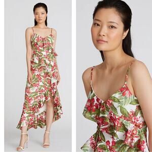 AMUR Deborah High Low Ruffle Scarlet Tropical Floral Maxi Dress Size 6